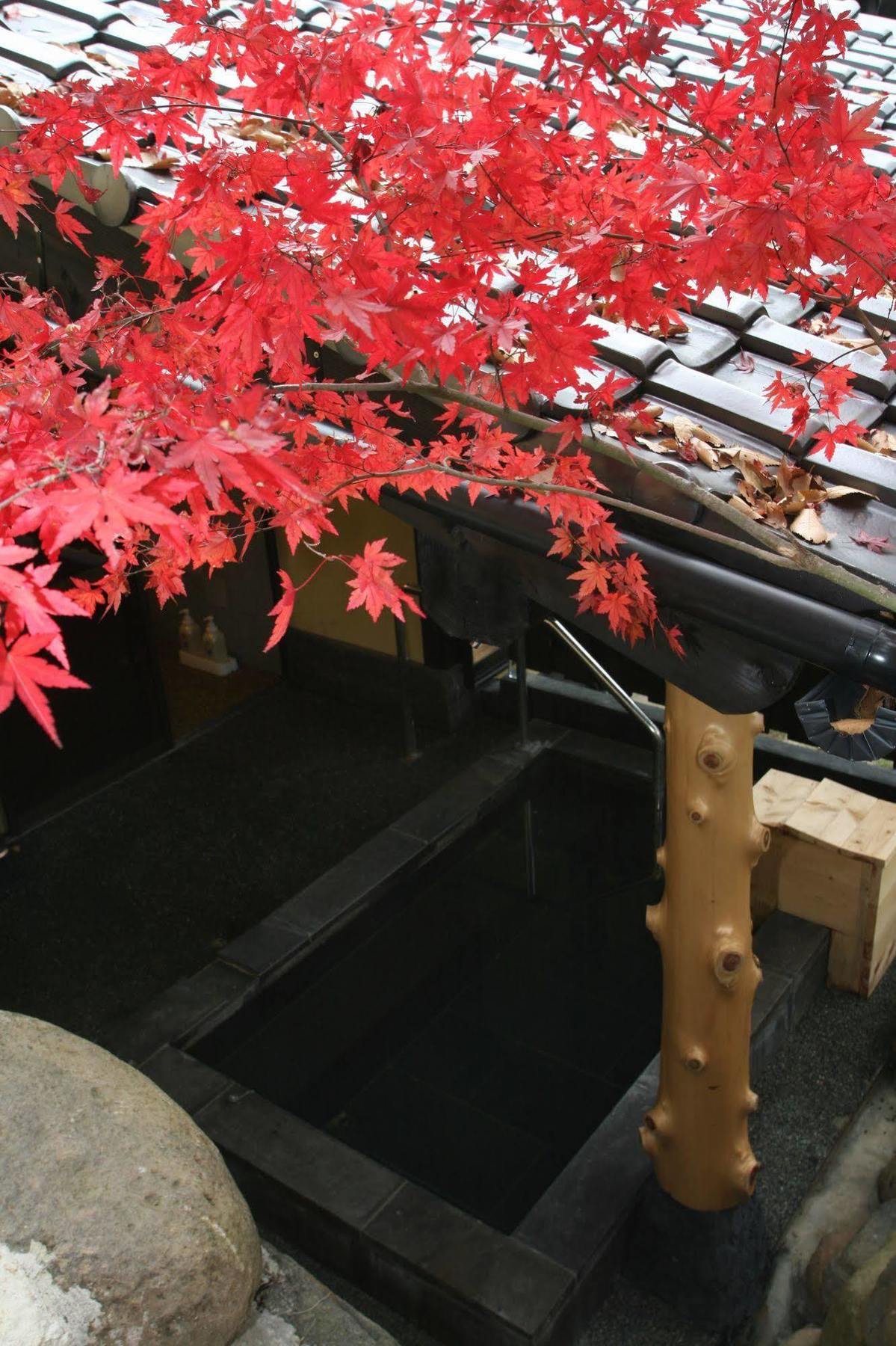 Yamashinobu Hotel Minamioguni Exterior photo